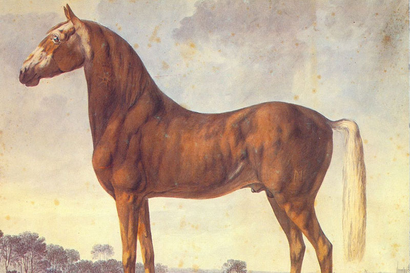 Une ancienne illustration d'un Frederiksborg