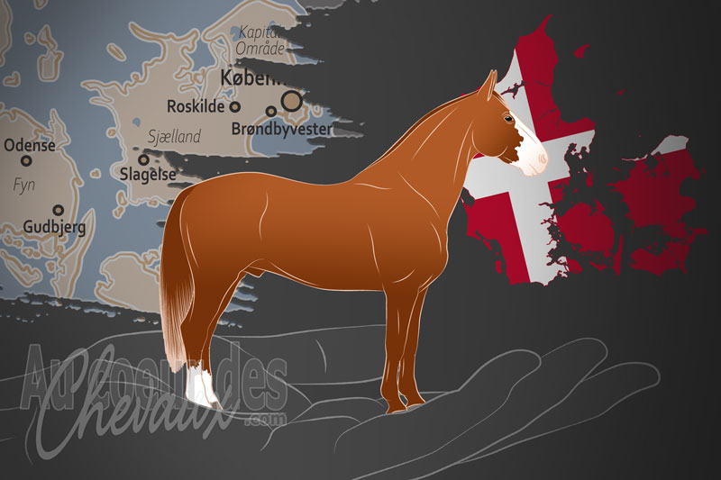 La Frederiksborg Horse Breeder Association un organisme de race au Danemark