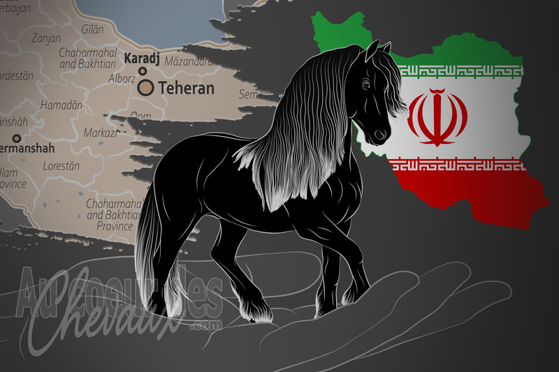 La Friesian Horse un organisme de race en Iran