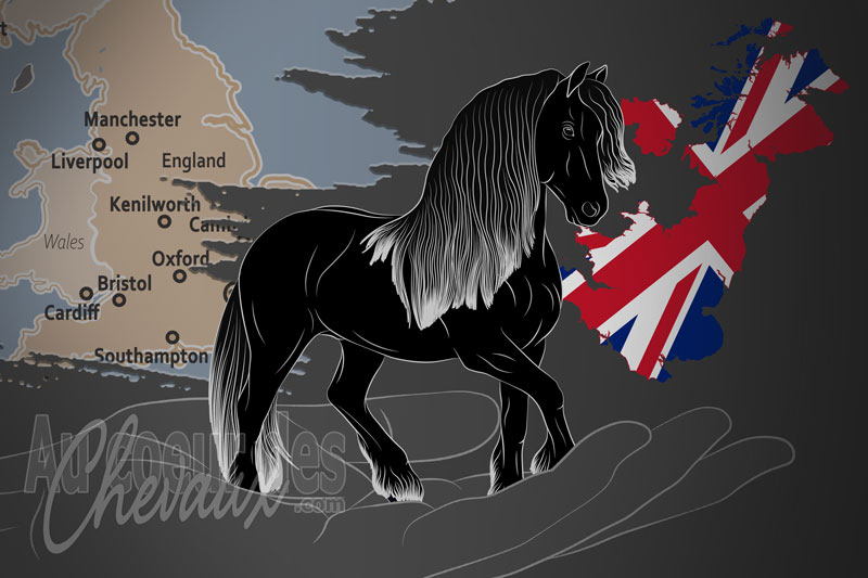 L'Association du Cheval Frison de Grande Bretagne et d'Irlande, un organisme de gestion du frison au royaume uni