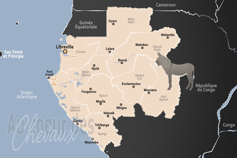 Le Gabon, un h�te urbain dans une nation foresti�re