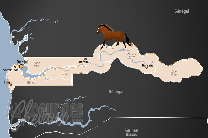 La Gambie, entre traction animale et d�fis sanitaires