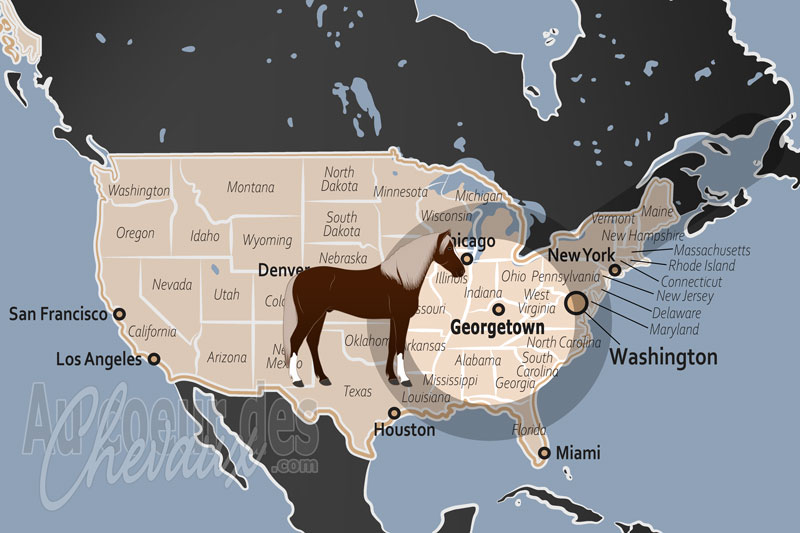 Georgetown, le sanctuaire des l�gendes au c?ur du bluegrass