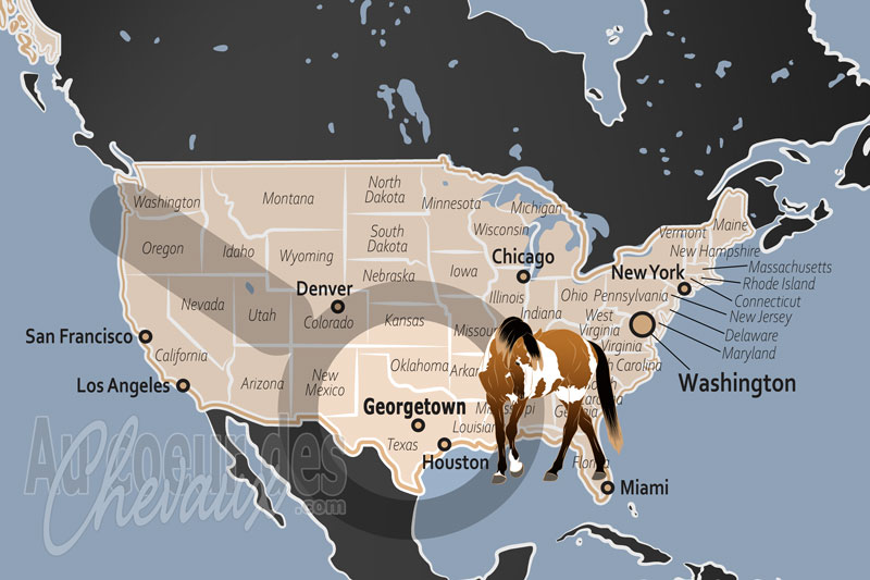 Georgetown, le cheval au c?ur du hill country