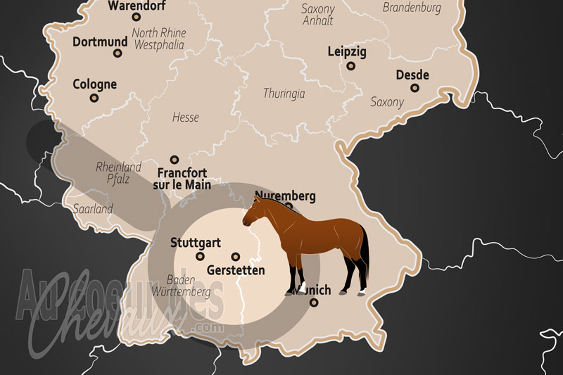 Gerstetten, l'esprit du jura souabe au galop