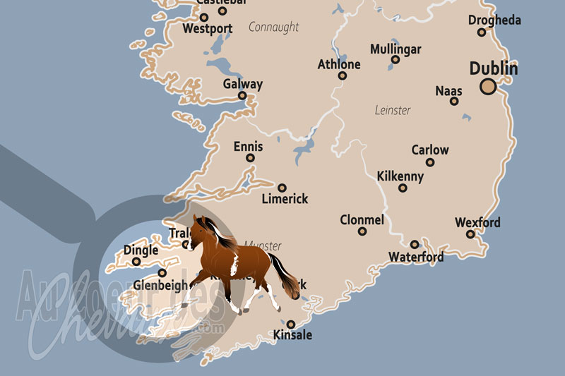 Glenbeigh, traditions �questres et galops sur les rivages du kerry