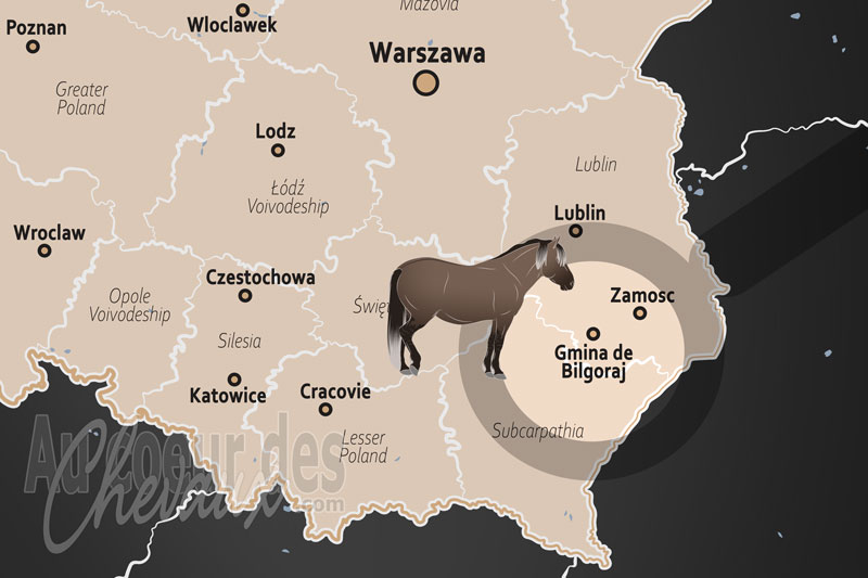 Le Gmina de Bilgoraj, sanctuaire du cheval de bilgoraj et h�ritage vivant du tarpan