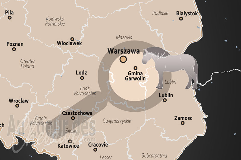 Le Gmina Garwolin, bastion du cheval de trait et tradition de l'�levage mazovien