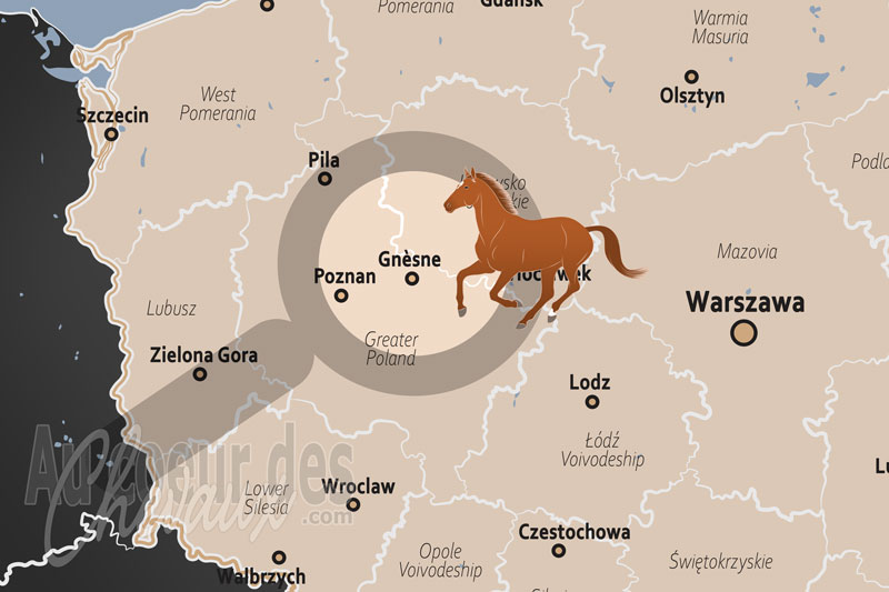 Gn�sne, un sanctuaire de l'�levage et du patrimoine �questre de grande-pologne
