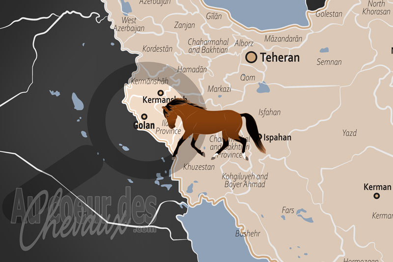 Golan, l'�picentre de l'h�ritage et du cheval turkm�ne