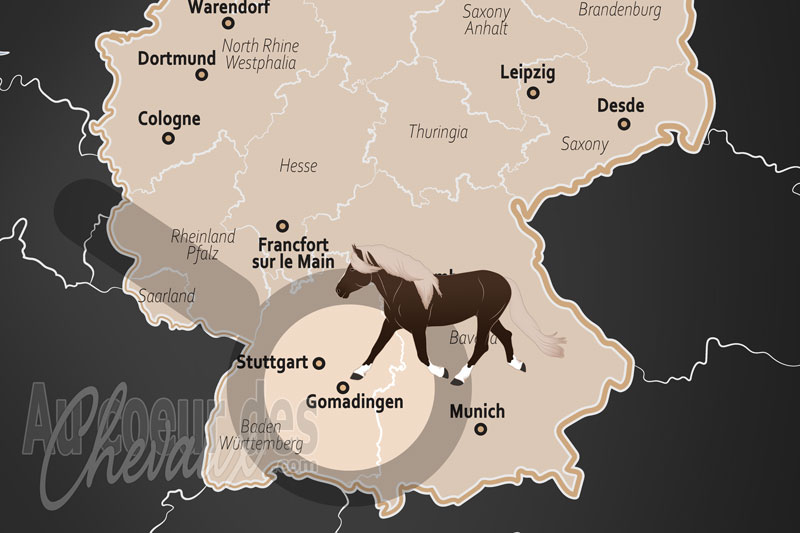 Gomadingen, le berceau de marbach et l'excellence de l'�levage d'�tat