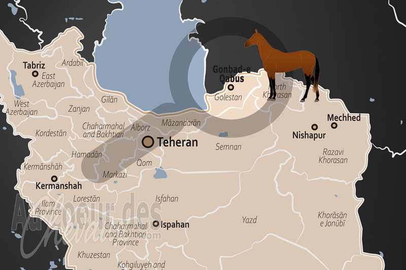 Gonbad-e Qabus, le sanctuaire du cheval turkm�ne et de la steppe