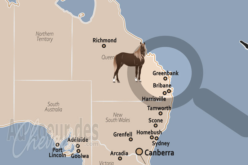 La localisation de Greenbank en Australie