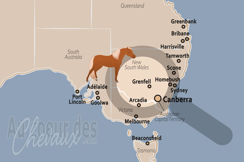 La localisation de Grenfell en Australie