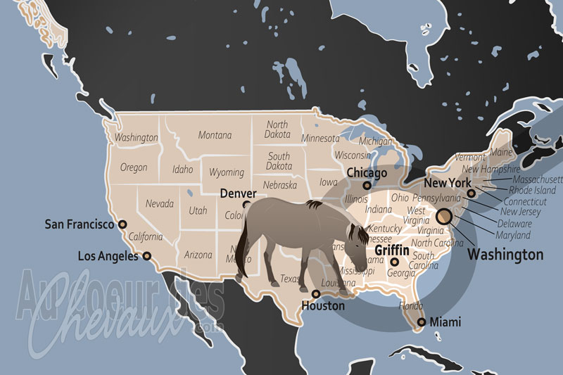 La localisation de Griffin aux �tats Unis