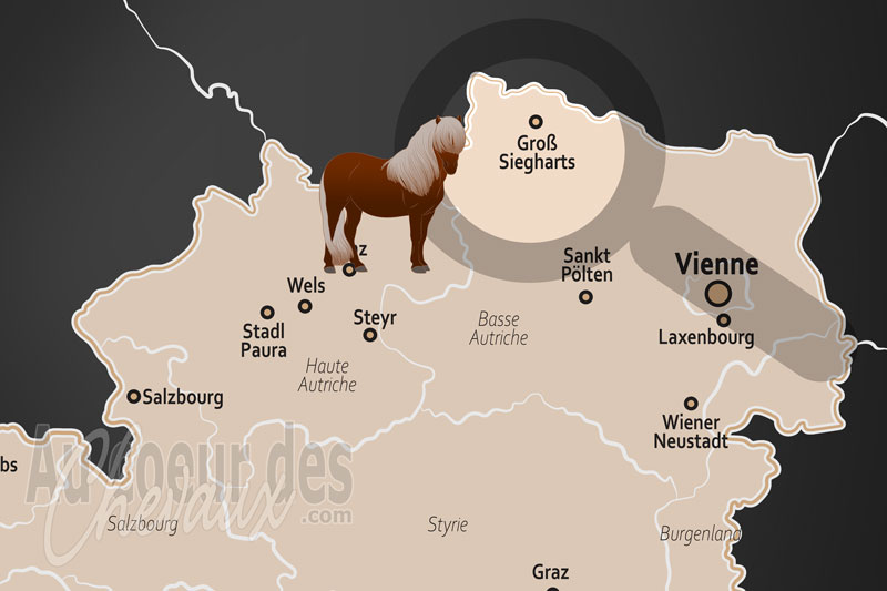 La localisation de Gross Siegharts en Autriche