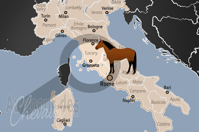 La localisation de Grosseto en Italie