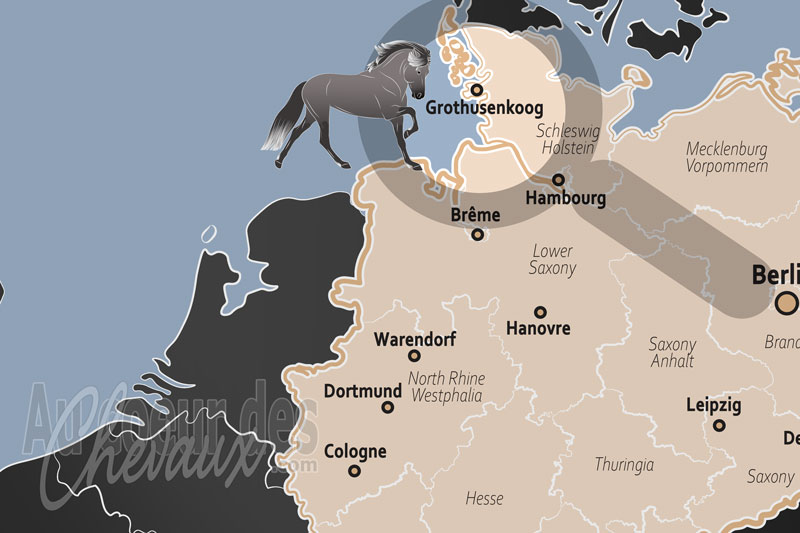 La localisation de Grothusenkoog en Allemagne