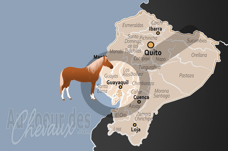 La localisation de Guayaquil en �quateur