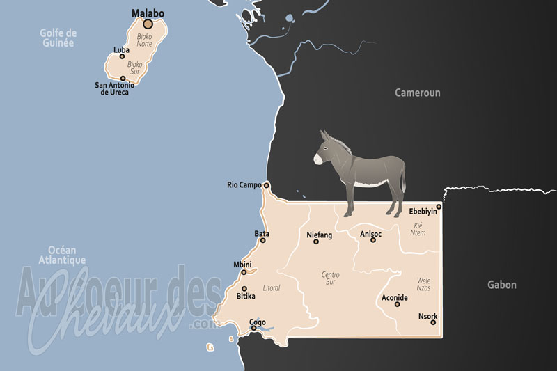 La Guin�e �quatoriale, les d�fis d'un milieu tropical humide