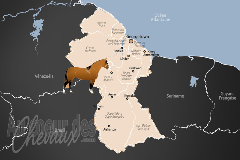 Guyana, entre savanes rupununi et traditions hippiques littorales
