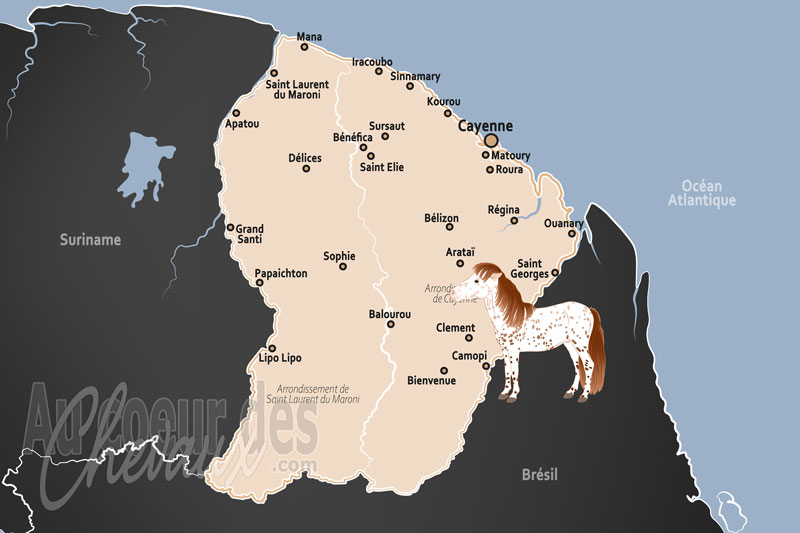 La Guyane Fran�aise, entre adaptation tropicale et enjeux de territoire