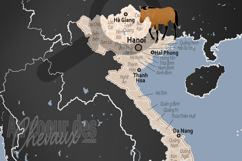 H� Giang, le compagnon de l'ombre des plateaux karstiques
