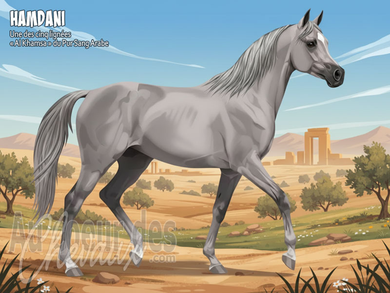 Le Cheval Hamdani, la lign�e de fer du d�sert syrien
