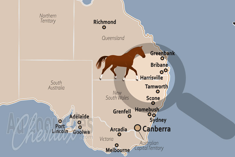 Harrisville, un bastion de l'excellence �questre dans le scenic rim