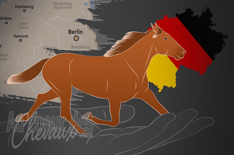 La Hauptverband F�r Traberzucht e.V. un organisme de race en Allemagne