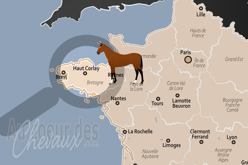 Le Haut Corlay, �picentre de l'obstacle et de l'excellence de l'aqps