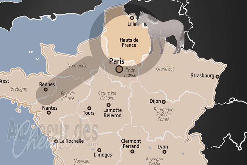 Les Hauts de France, terre d'excellence �quine, du colosse de marbre aux pur-sang de chantilly