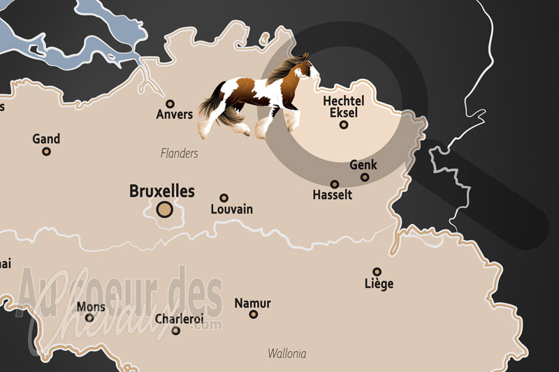La localisation d'Hechtel Eksel en Belgique