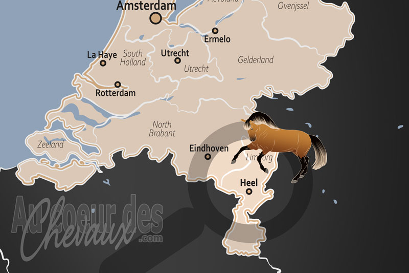 La localisation d'Heel aux Pays Bas