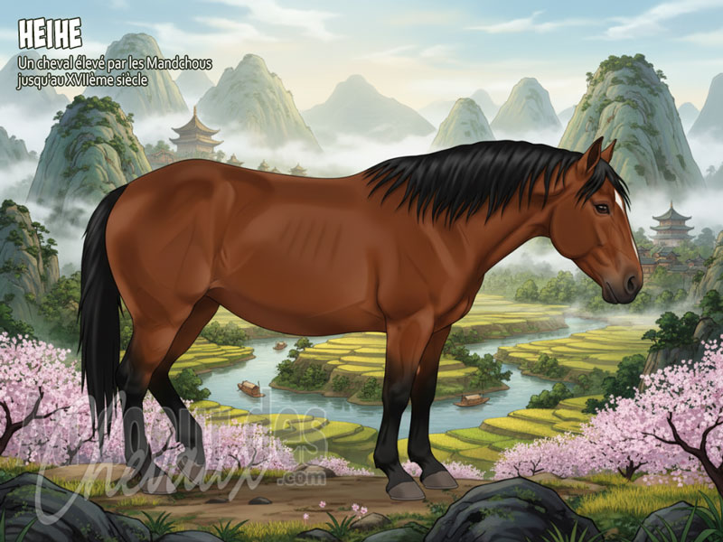 Le Cheval Heihe, le colosse des steppes du nord de la chine