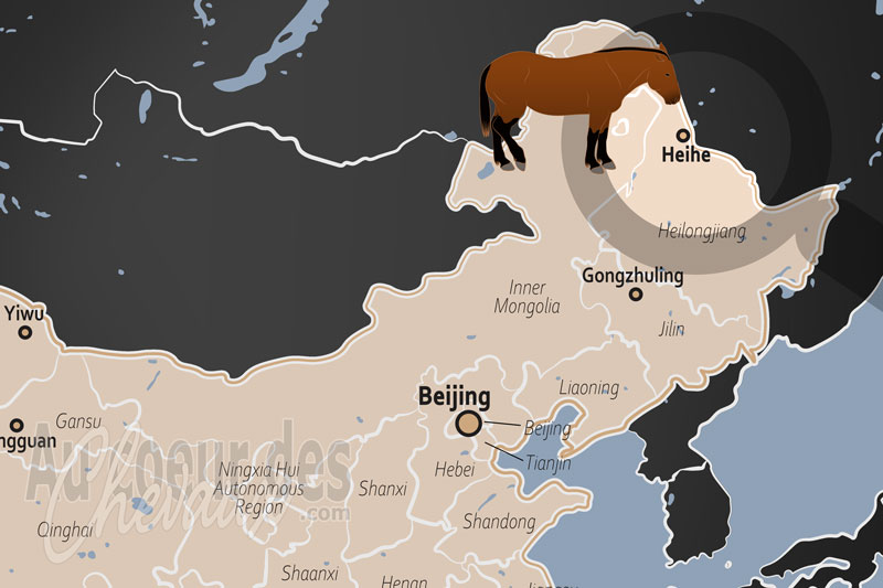 La localisation d'Heihe en Chine