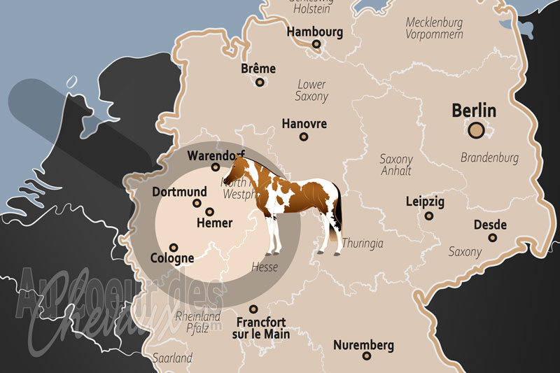 Hemer, tradition �questre et paysages du sauerland