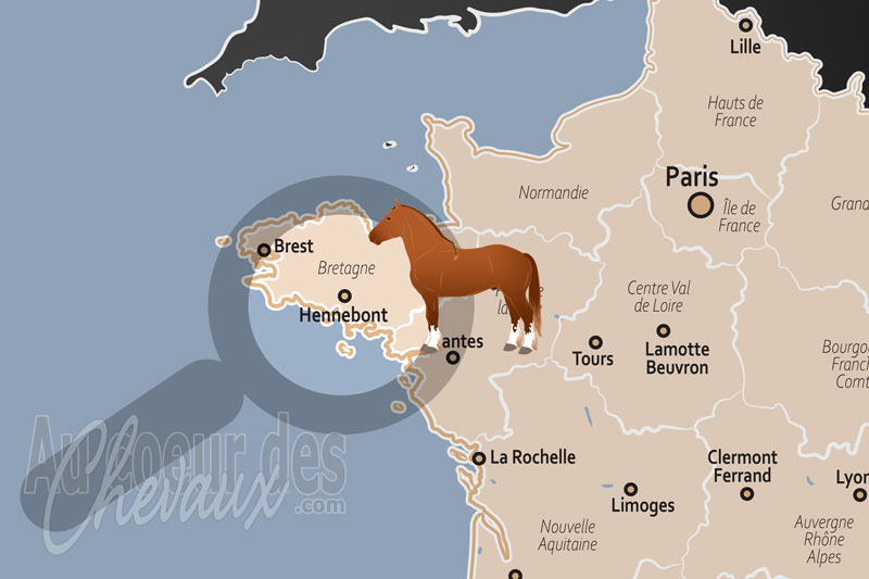 La localisation d'Hennebont en France