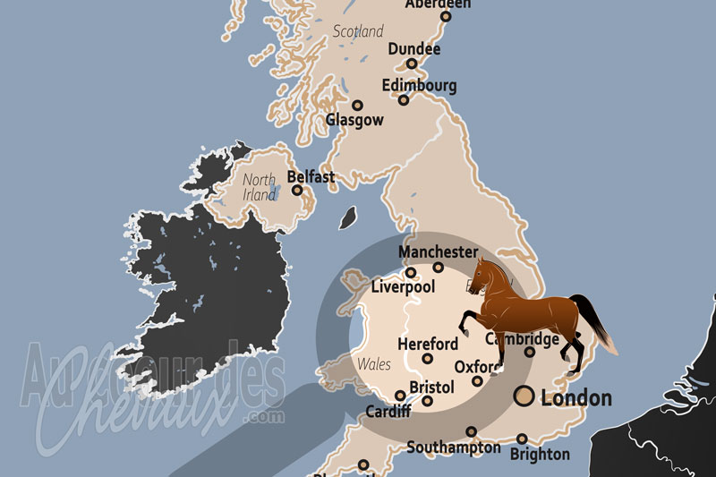 Hereford, un pilier de la tradition �questre et de l'�conomie rurale des west midlands