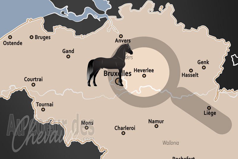 La localisation d'Heverlee en Belgique