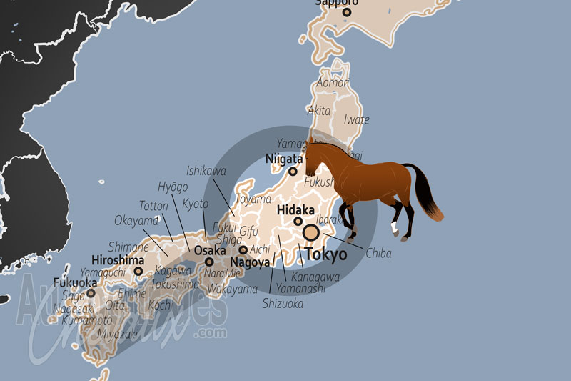 Hidaka, la capitale �questre du japon et le c?ur de l'industrie du pur-sang