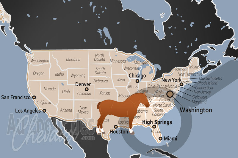 La localisation d'High Springs aux �tats Unis