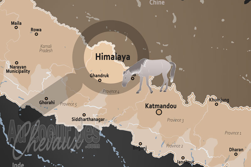 L'Himalaya, l'�pop�e des crins d'acier sur le toit du monde