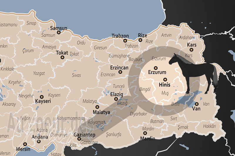 La localisation d'Hinis en Turquie