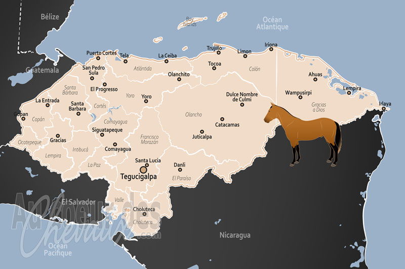 L'Honduras, pilier de la vie rurale et symbole de tradition