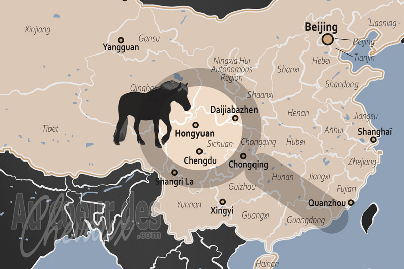 Hongyuan, le cheval de hequ et la culture �questre des hautes steppes tib�taines