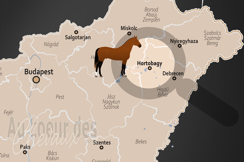 La localisation d'Hortobagy en Hongrie