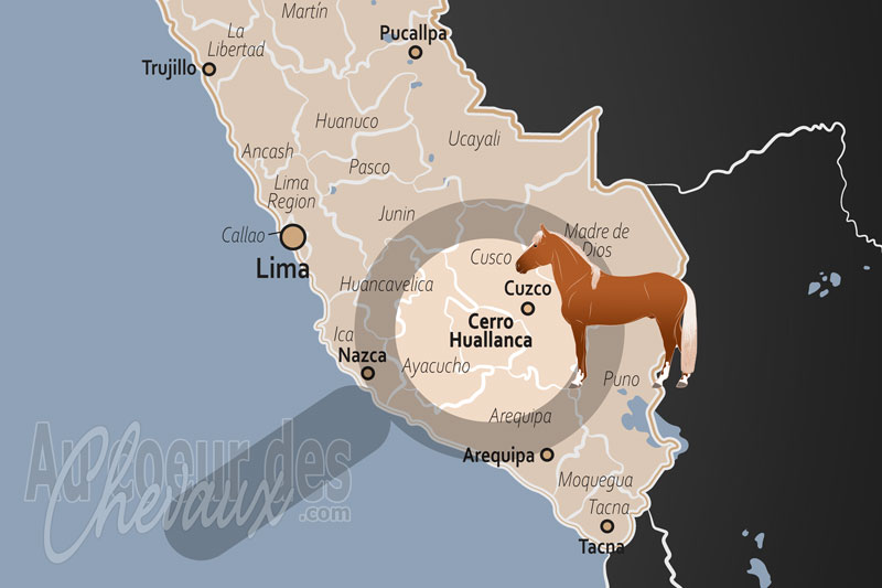 Les Collines de Huallanca, le galop vertical au c?ur des andes de l'apur�mac