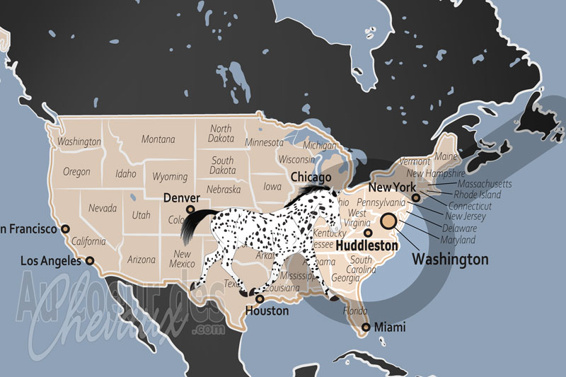 La localisation d'Huddleston aux �tats Unis