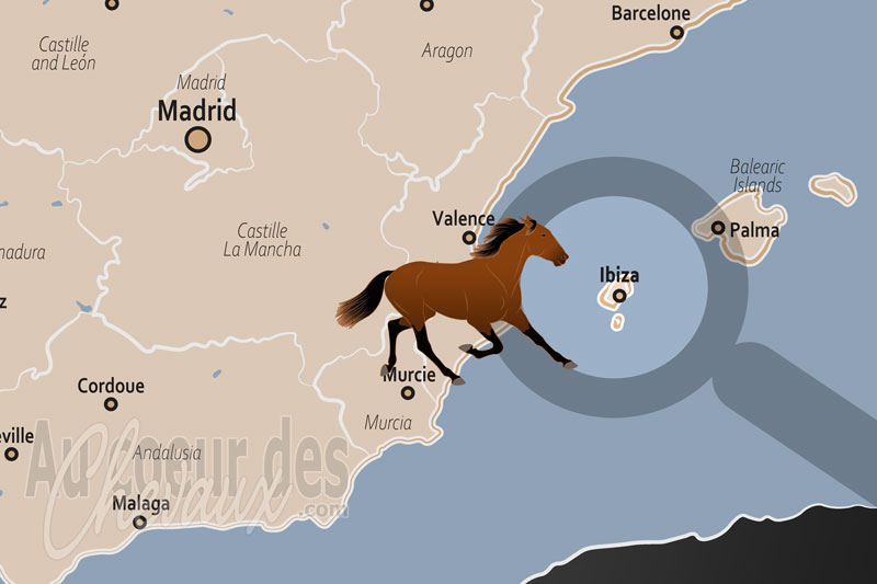 Ibiza, patrimoine �quin entre tradition rurale et passion pour le trot